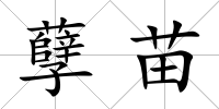 孽苗
