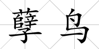 孽鳥