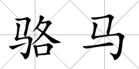 駱馬