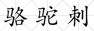 駱駝刺