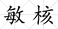 敏核