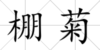 棚菊