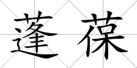 蓬葆