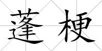 蓬梗