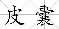 皮囊