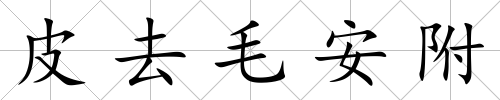 皮去毛安附