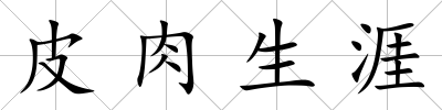 皮肉生涯