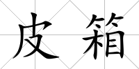 皮箱