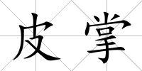 皮掌