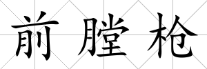 前膛槍