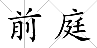 前庭