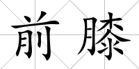 前膝