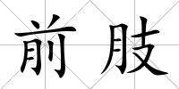 前肢