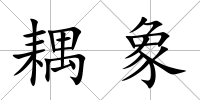 耦象
