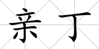 親丁