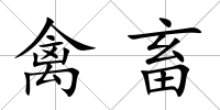 禽畜