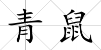 青鼠
