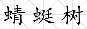 蜻蜓樹
