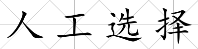 人工選擇