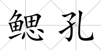 鰓孔