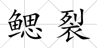 鰓裂