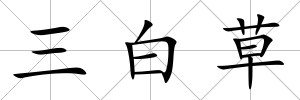 三白草