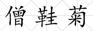 僧鞋菊