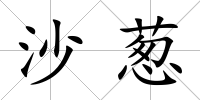 沙蔥