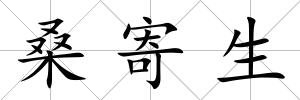 桑寄生