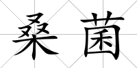 桑菌