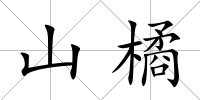 山橘