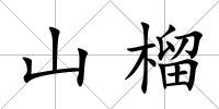 山榴
