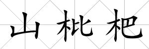 山枇杷