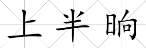 上半晌