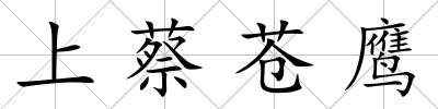 上蔡蒼鷹