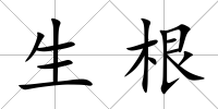 生根