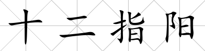 十二指陽