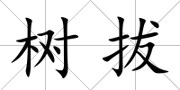 樹(shù)拔