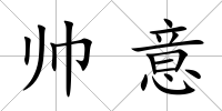 帥意