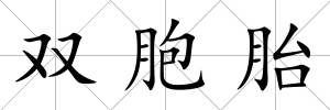 雙胞胎