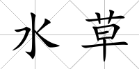 水草