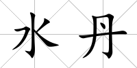 水丹