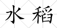 水稻