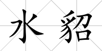 水貂