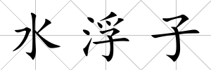 水浮子
