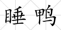 睡鴨