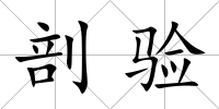 剖驗