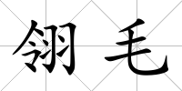 翎毛