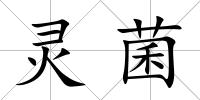 靈菌