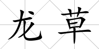 龍草